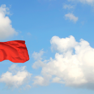 Spotting Red Flags in Background Checks