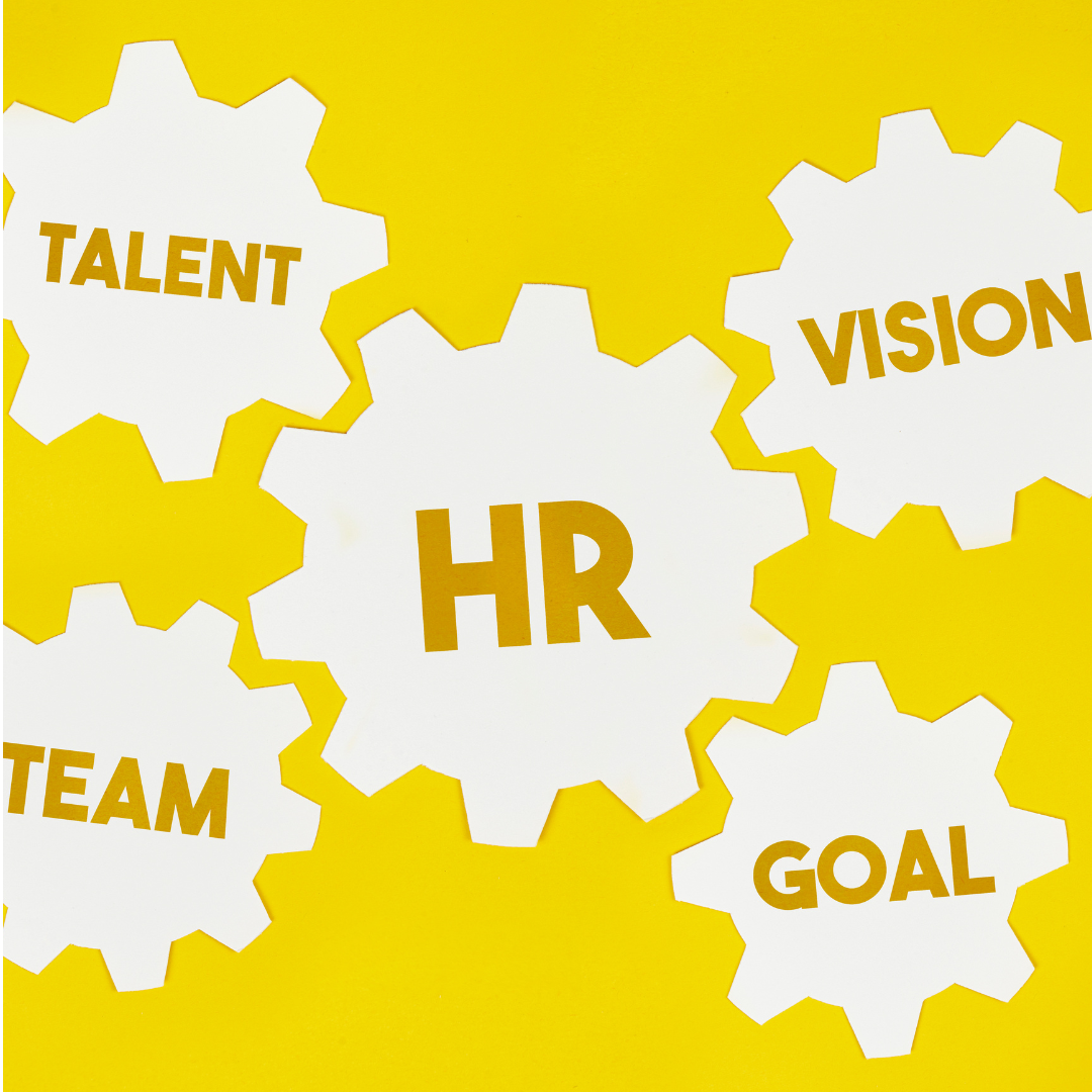 Hiring a HR Professional 6 Traits For Your HR Dream Team
