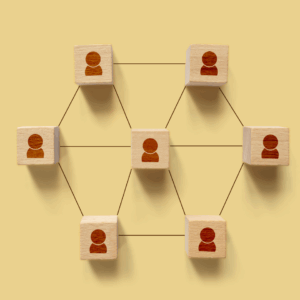 The HR Structure For Your Team In 2024