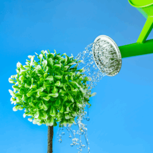 Beyond Compliance How HR Can Drive Growth and Culture