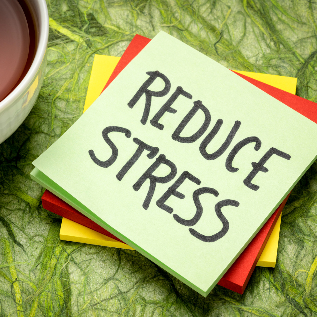 Strategies for Reducing Stress and Anxiety Among Employees