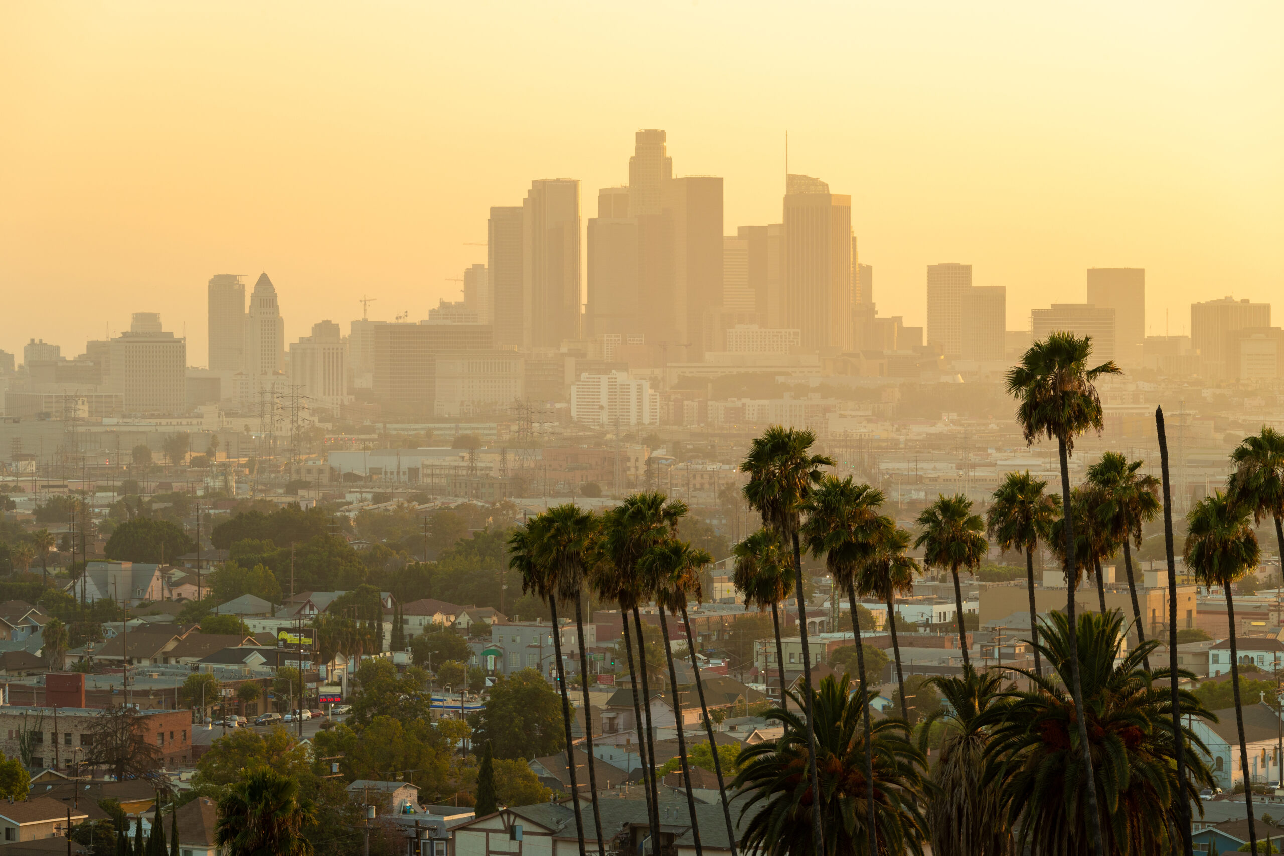 Los Angeles downtown skyline evening