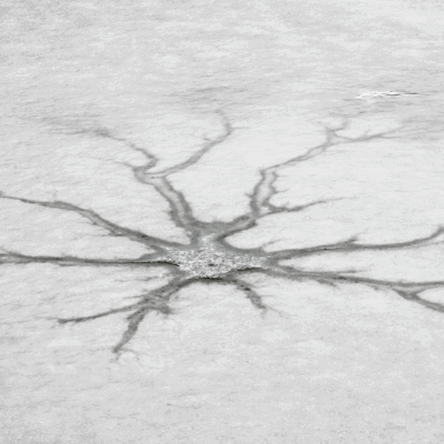 How to Detect Quiet Cracking and Retain Top Talent
