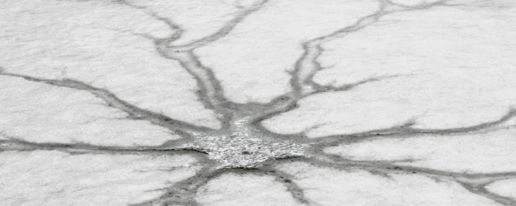 How to Detect Quiet Cracking and Retain Top Talent